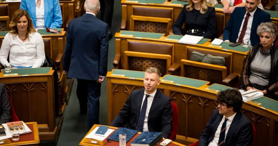 Schiffer Andráson gúnyolódott Magyar Péter, de visszakapta a labdát