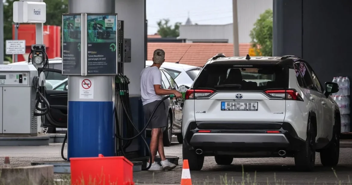 Tartsd meg az aprót – ellepték a dühös kommentelők a tiszások oldalait
