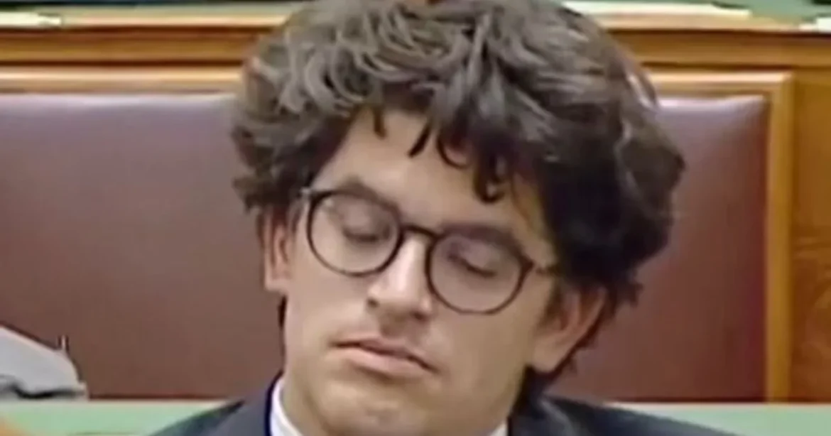 Velkey György elaludt Magyar Péter beszéde közben – videó