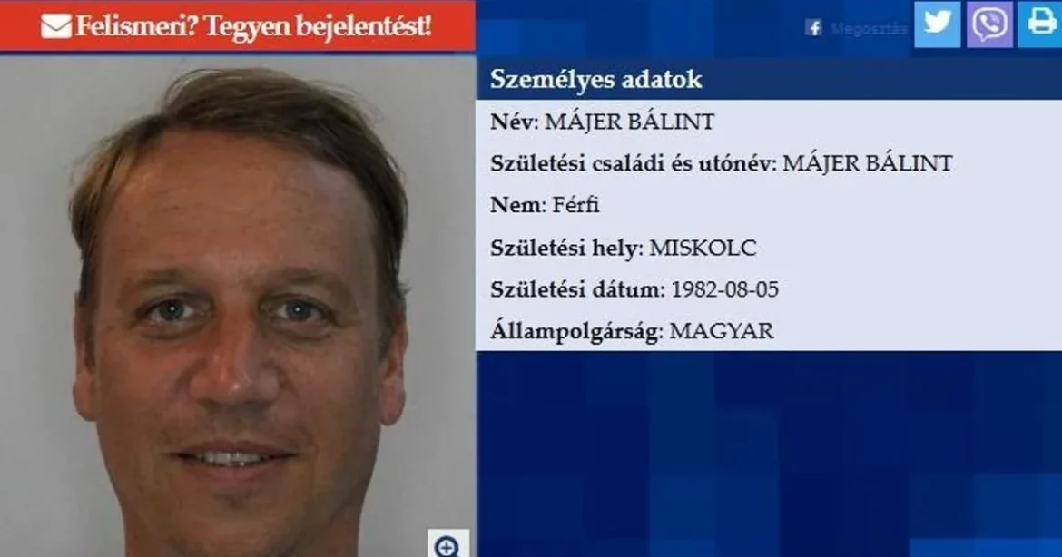 A lélegeztetőgép-botrány körözött szereplője, Májer Bálint hazatér Magyarországra