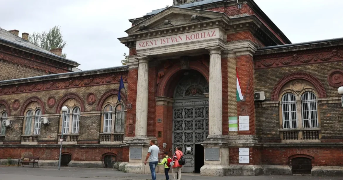Embertelen megoldást választott Hegedűs Zsolt ügyében