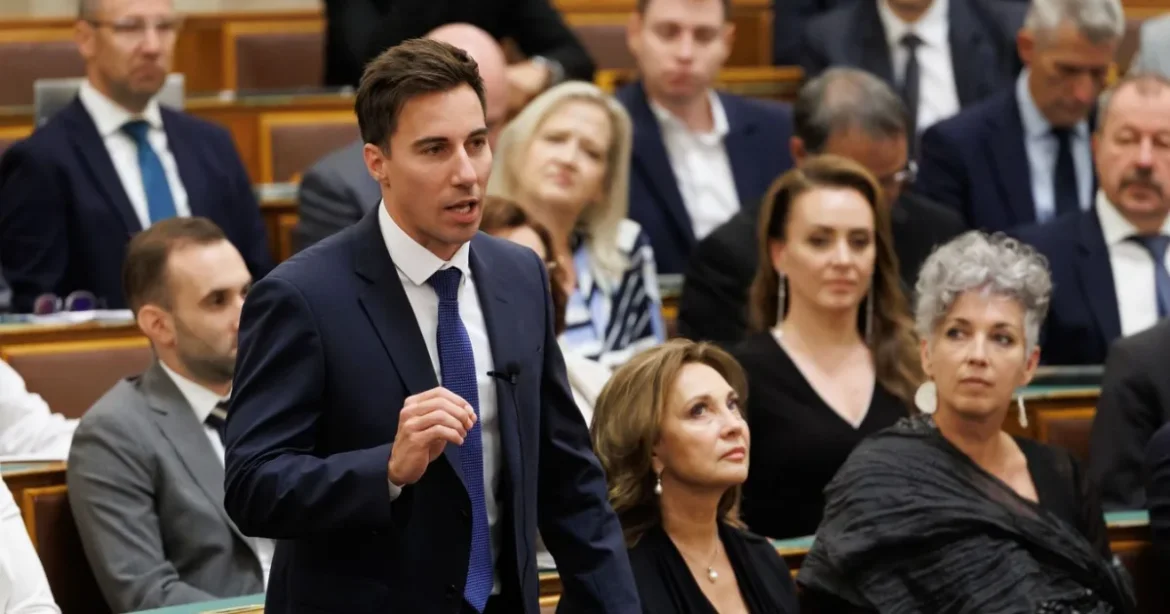 Láda, árok vagy más lehetőség: ez a rejtélyes tárgy