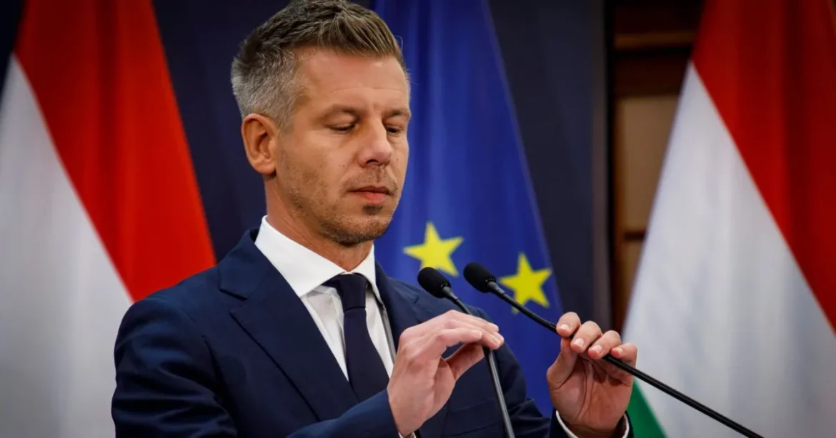 Magyar Péter és az ellenforradalom vádja a politikai vitákban