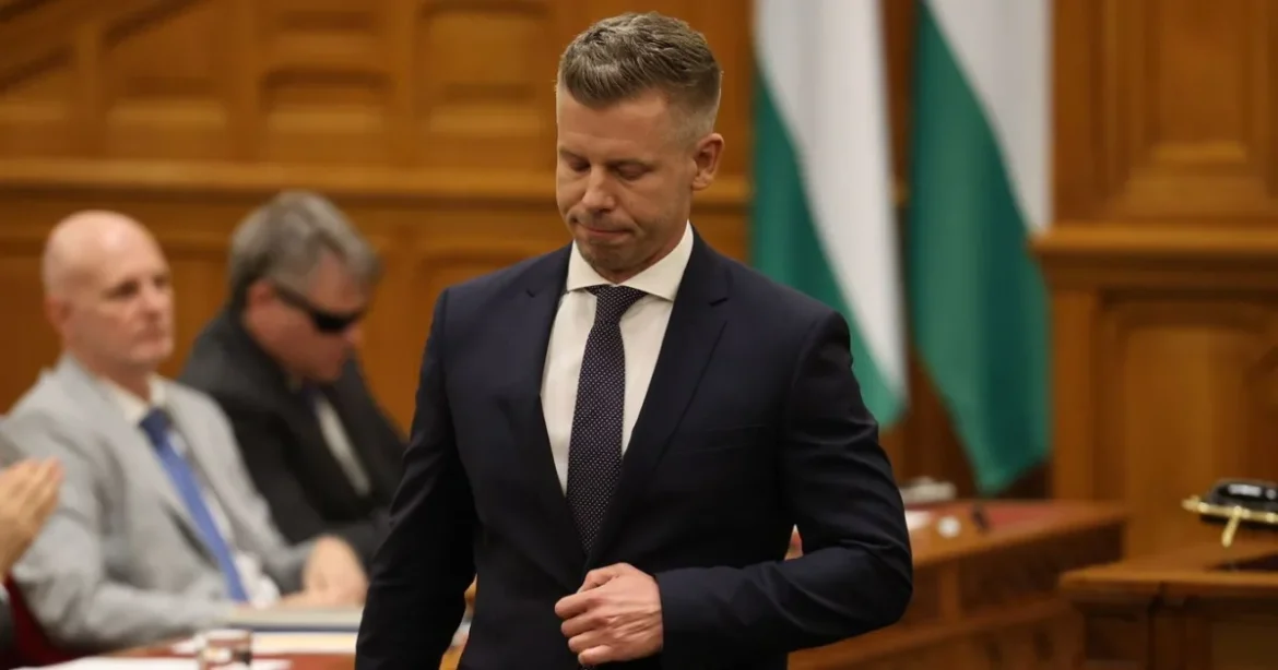 Magyar Péter kommentben üzente meg a polgármesternek, hogy ő mond beszédet Gyulán