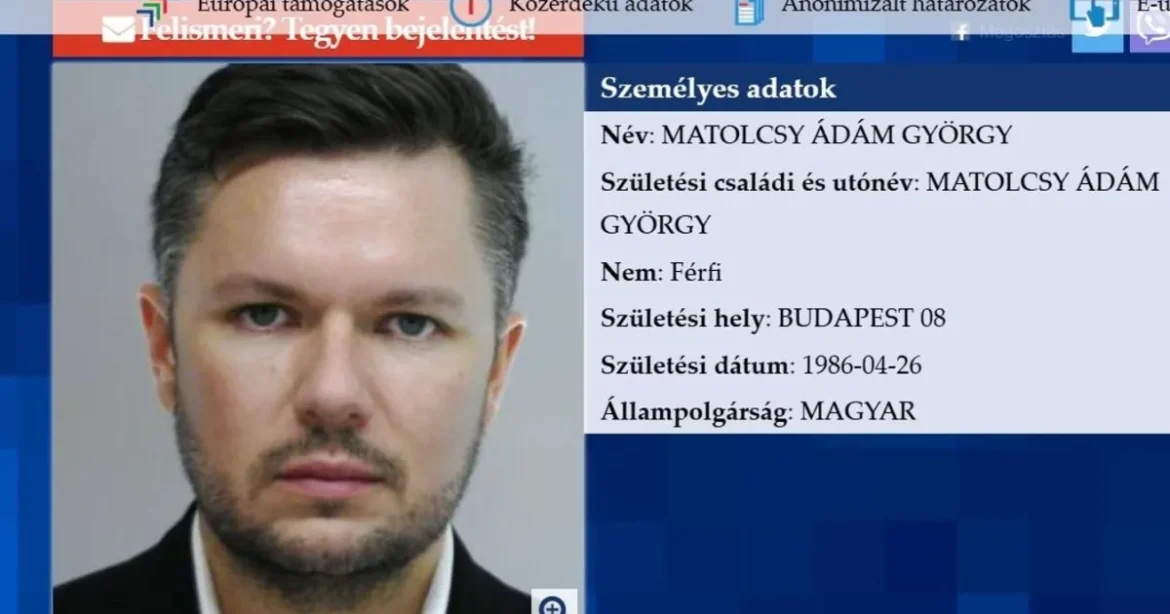 Matolcsy Ádám korábbi üzlettársa tagadja a jegybanki vagyonügyekhez való közreműködését