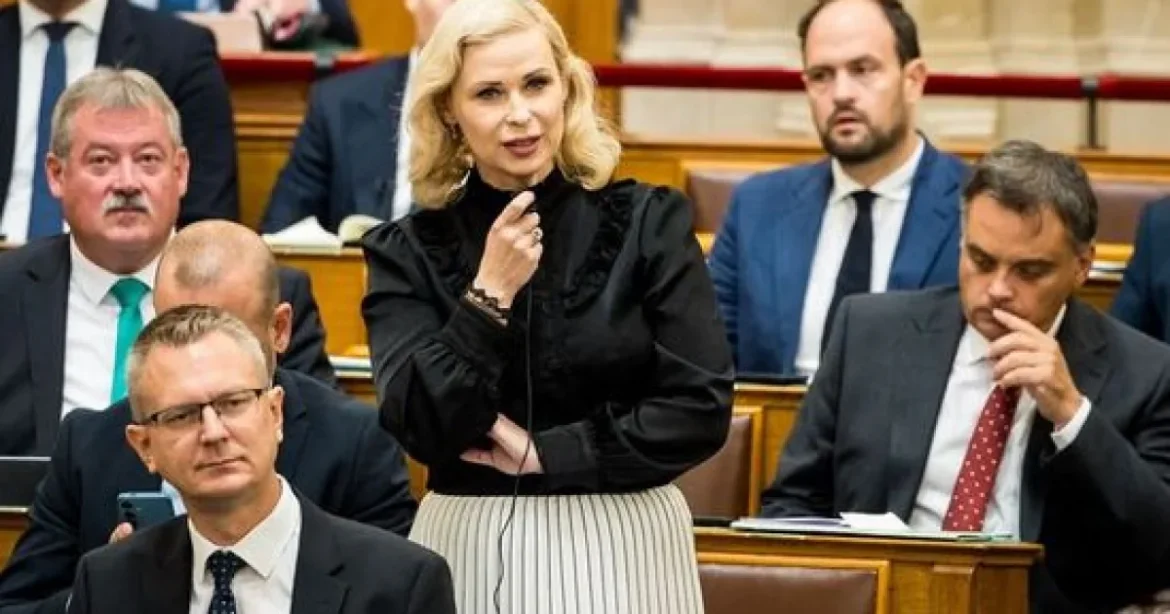 Molnár Áron csalódott: sokat tett a hatalomváltásért, de a Tiszával is baj van