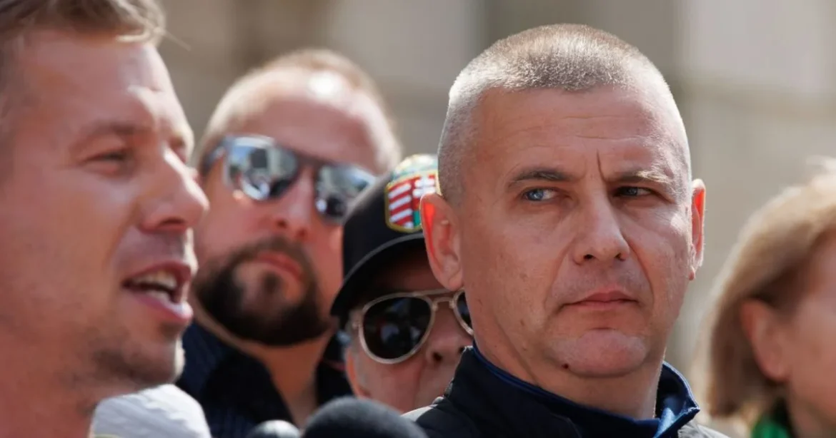 Tiszás cég a közbeszerzési limit alatt kapott ruszin-szendi megbízást