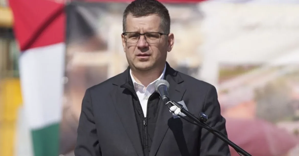 Újabb letartóztatás a Seszták-ügyben: pénzfutár lehetett a volt miniszter bizalmasa